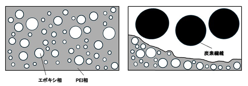 図3　CFRPの研究で見いだした相分離構造の変化（模式図）。（左）エポキシ/PEI混合系のみの場合は、PEIの海（グレーの部分）にエポキシ（白い部分）が島状に存在する。（右）そこに炭素繊維が存在するとエポキシは炭素繊維を取り巻くように広がる。