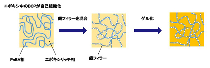 図5　エポキシ/BCP混合系で実証しようとした概念。この混合系を加熱すると自己組織化により相構造を形成する。条件を制御すればPnBAを主成分とする帯状の相（ブルーの線で示す）ができる。この相にナノサイズの銀フィラーが集まれば、硬化した樹脂中にはエポキシ/PES混合系よりもずっと細い「電気の通り道」ができる。