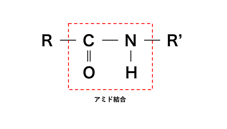 図．アミド結合の模式図