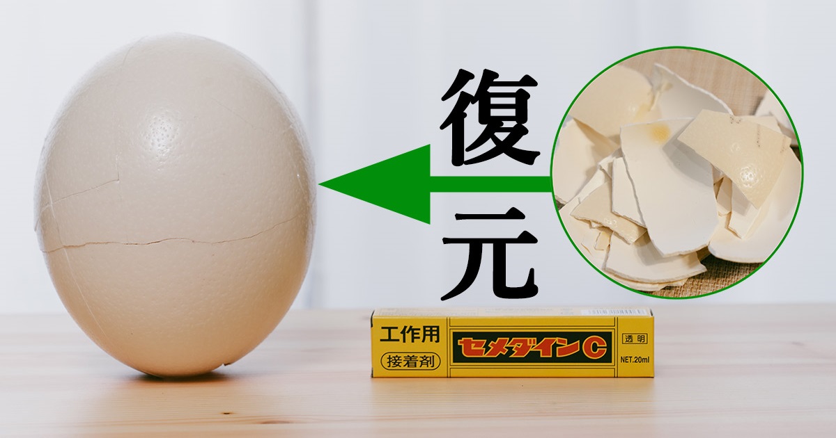 ダチョウの卵が割れた！セメダインCを使って復元する | CEMEDINE