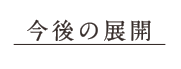 今後の展開